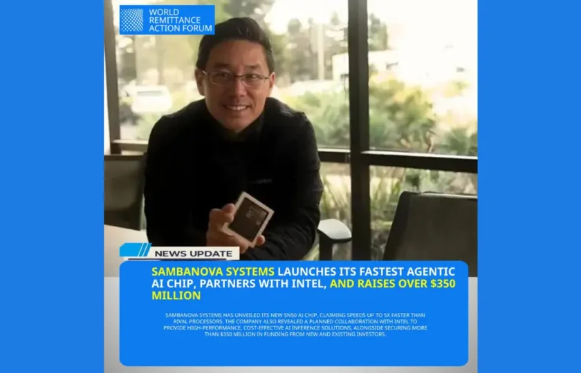 Untitled design (51)